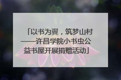 以书为翼，筑梦山村——许昌学院小书虫公益书屋开展捐赠活动