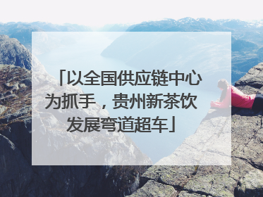 以全国供应链中心为抓手，贵州新茶饮发展弯道超车