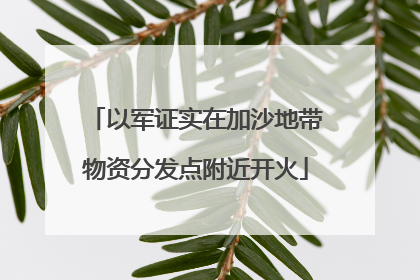 以军证实在加沙地带物资分发点附近开火