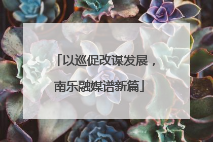 以巡促改谋发展，南乐融媒谱新篇