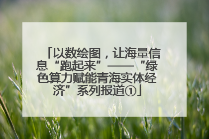 以数绘图，让海量信息“跑起来”——“绿色算力赋能青海实体经济”系列报道①