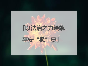以法治之力绘就平安“枫”景
