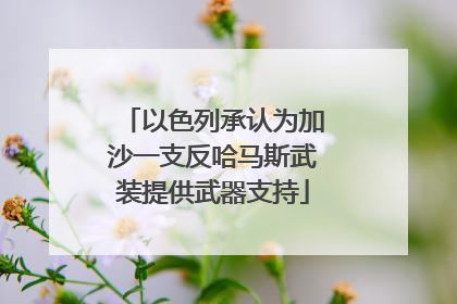 以色列承认为加沙一支反哈马斯武装提供武器支持