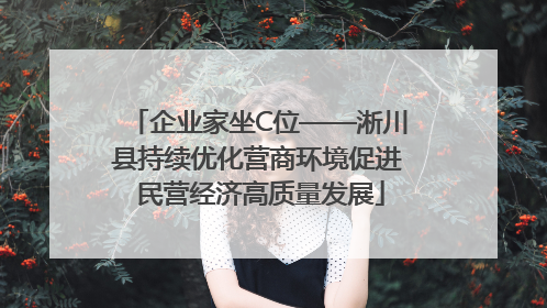 企业家坐C位——淅川县持续优化营商环境促进 民营经济高质量发展