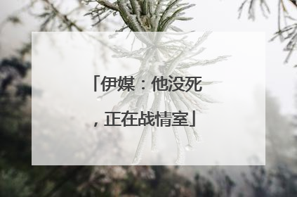 伊媒：他没死，正在战情室