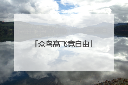 众鸟高飞竞自由