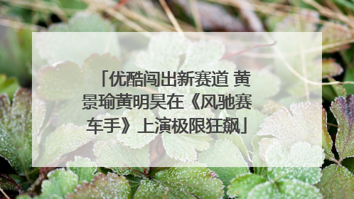 优酷闯出新赛道 黄景瑜黄明昊在《风驰赛车手》上演极限狂飙