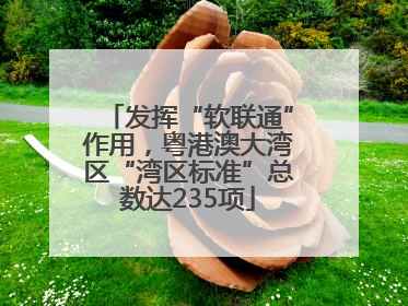 发挥“软联通”作用，粤港澳大湾区“湾区标准”总数达235项