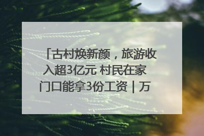 古村焕新颜，旅游收入超3亿元 村民在家门口能拿3份工资｜万千气象看四川