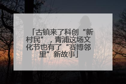 古镇来了科创“新村民”，青浦这场文化节也有了“赛博邻里”新故事