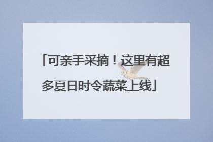 可亲手采摘！这里有超多夏日时令蔬菜上线