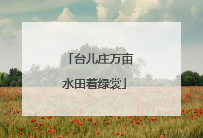 台儿庄万亩水田着绿裳