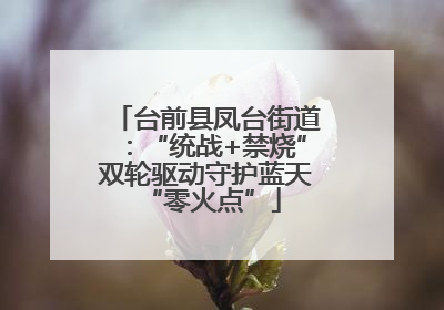 台前县凤台街道：“统战+禁烧”双轮驱动守护蓝天 “零火点”