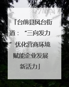 台前县凤台街道：“三向发力”优化营商环境 赋能企业发展新活力