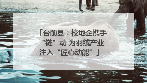 台前县：校地企携手“链”动 为羽绒产业注入“匠心动能”