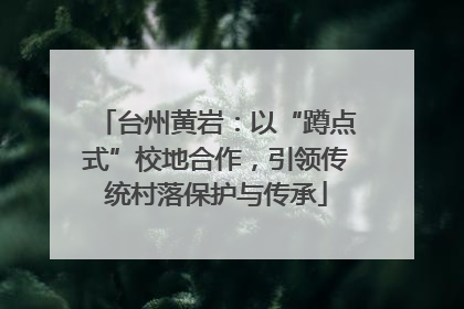 台州黄岩：以“蹲点式”校地合作，引领传统村落保护与传承