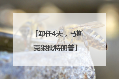 卸任4天，马斯克狠批特朗普