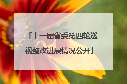十一届省委第四轮巡视整改进展情况公开