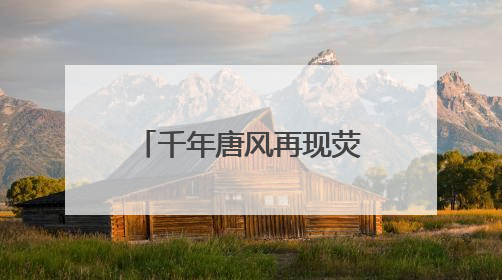 千年唐风再现荧屏 电视剧《长安的荔枝》西安开启首场观影