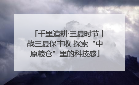 千里追耕·三夏时节丨战三夏保丰收 探索“中原粮仓”里的科技感