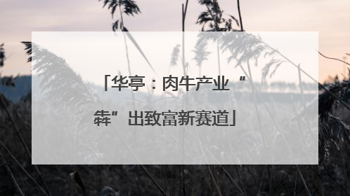 华亭：肉牛产业“犇”出致富新赛道