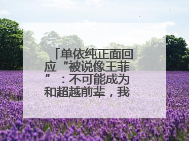 单依纯正面回应“被说像王菲”：不可能成为和超越前辈，我想致敬他们