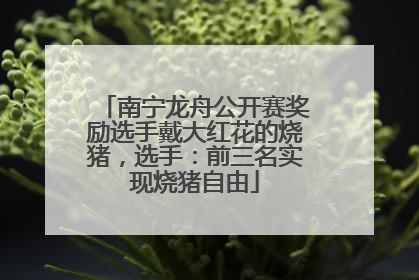 南宁龙舟公开赛奖励选手戴大红花的烧猪，选手：前三名实现烧猪自由