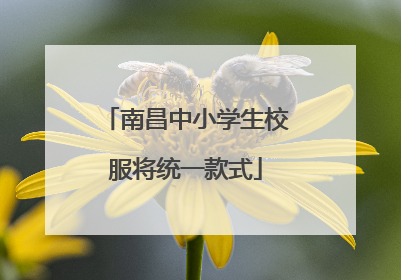 南昌中小学生校服将统一款式