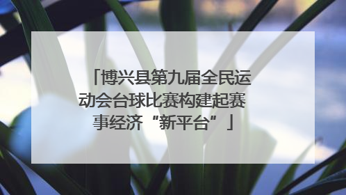 博兴县第九届全民运动会台球比赛构建起赛事经济“新平台”