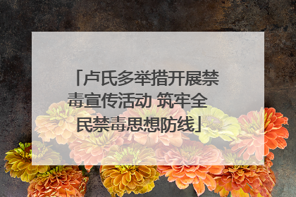 卢氏多举措开展禁毒宣传活动 筑牢全民禁毒思想防线