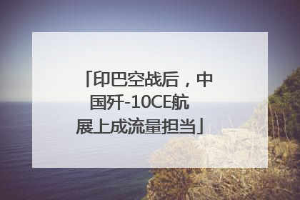 印巴空战后，中国歼-10CE航展上成流量担当