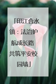 印江合水镇：法治护航成长路 共筑平安校园墙