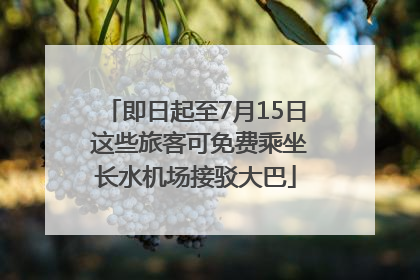 即日起至7月15日 这些旅客可免费乘坐长水机场接驳大巴