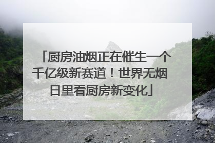 厨房油烟正在催生一个千亿级新赛道！世界无烟日里看厨房新变化