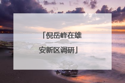倪岳峰在雄安新区调研