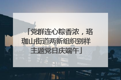 党群连心粽香浓，珞珈山街道两新组织别样主题党日庆端午