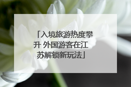 入境旅游热度攀升 外国游客在江苏解锁新玩法