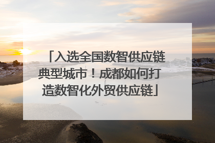 入选全国数智供应链典型城市！成都如何打造数智化外贸供应链