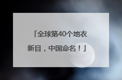 全球第40个地衣新目，中国命名！