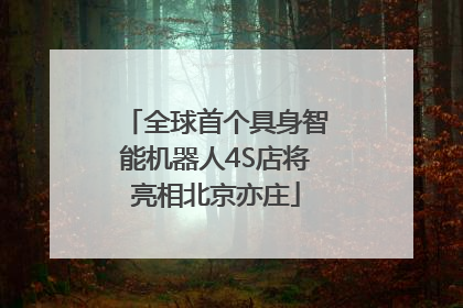 全球首个具身智能机器人4S店将亮相北京亦庄