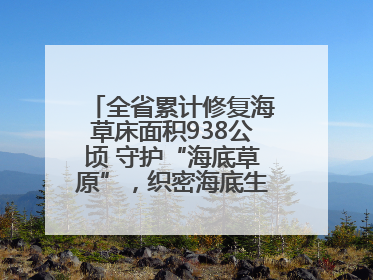 全省累计修复海草床面积938公顷 守护“海底草原”，织密海底生态“一张网”