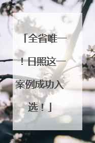 全省唯一！日照这一案例成功入选！
