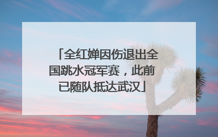 全红婵因伤退出全国跳水冠军赛，此前已随队抵达武汉