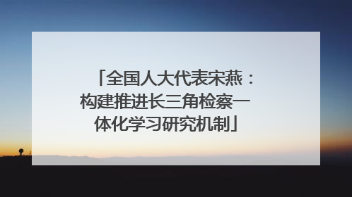 全国人大代表宋燕：构建推进长三角检察一体化学习研究机制