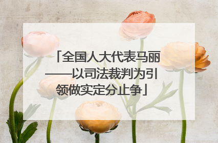 全国人大代表马丽——以司法裁判为引领做实定分止争