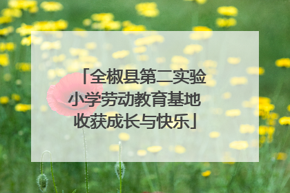 全椒县第二实验小学劳动教育基地收获成长与快乐