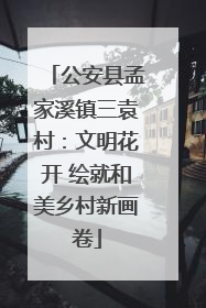 公安县孟家溪镇三袁村：文明花开 绘就和美乡村新画卷