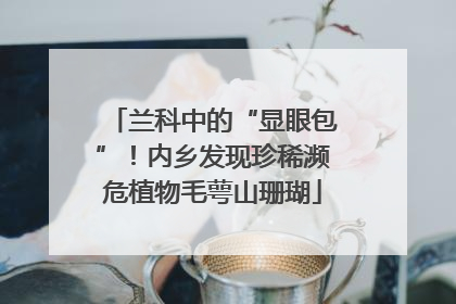 兰科中的“显眼包”！内乡发现珍稀濒危植物毛萼山珊瑚