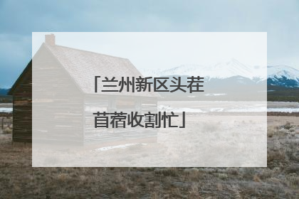 兰州新区头茬苜蓿收割忙
