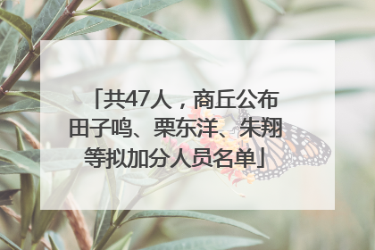共47人，商丘公布田子鸣、栗东洋、朱翔等拟加分人员名单